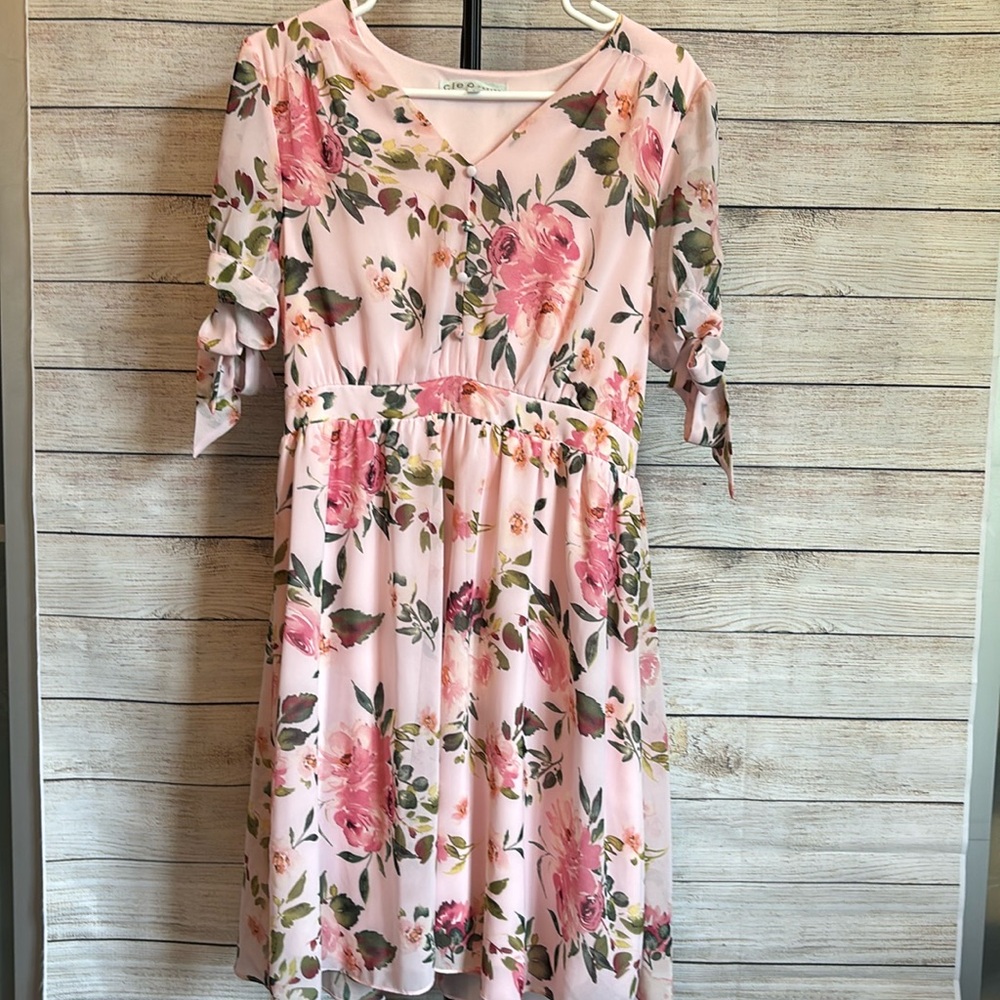 Petite Small Cleo pink floral dress